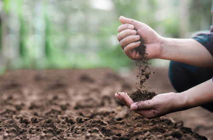 Can We Unlock the Secrets Beneath our feet with the Next Era of Soil Health Testing?