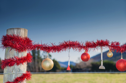 Christmas Hours 2024/2025